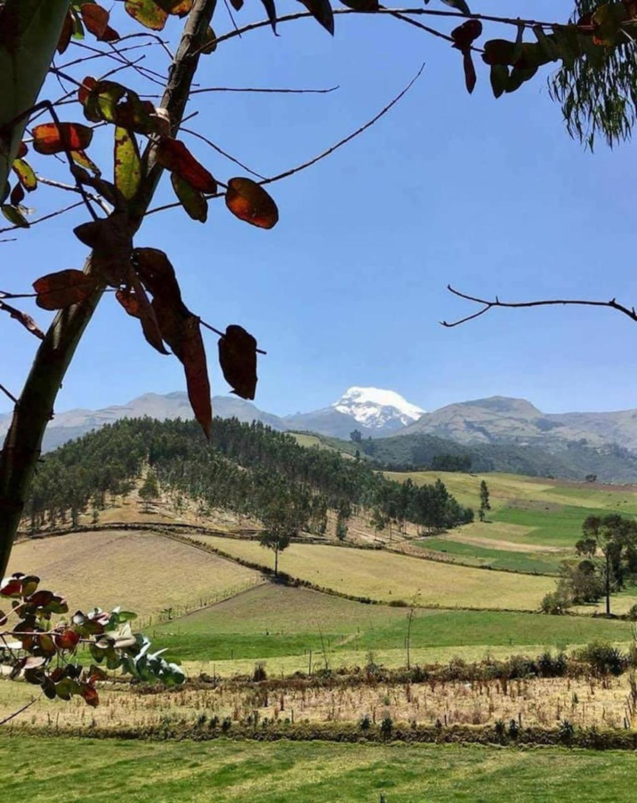 Cottage house Cayambe Kültér fotó